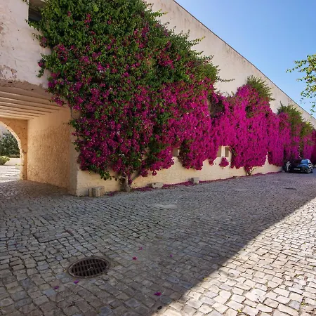 Architect Arts Elegant Bf Apartment Tavira