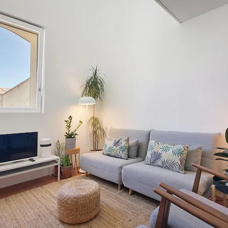 Apartment Architect Arts Elegant Bf *