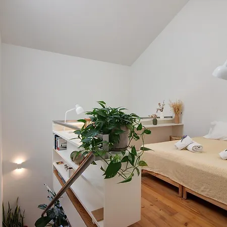 Architect Arts Elegant Bf Appartement *